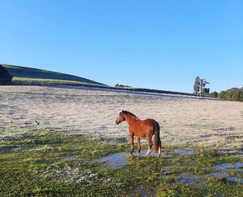 norte rs portal de noticias