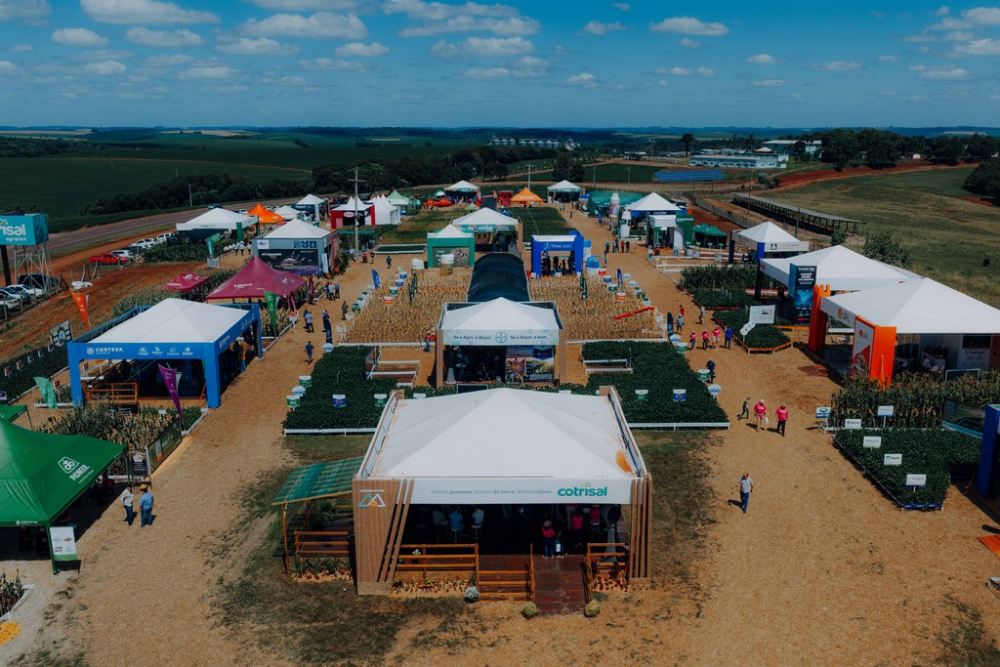 capa da noticia - norte rs portal de noticias sarandi, palmeira das missões, ultimas noticias